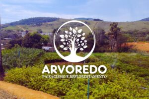 ARVOREDO - SITE - 1200X800 - quem somos